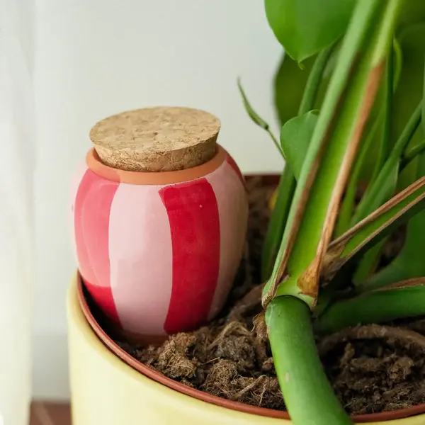 Olla - Pépin - Olla - Rayé Rose et Rouge - image